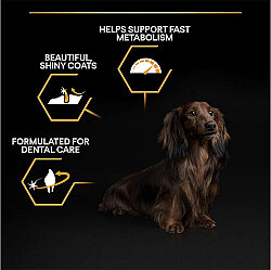 Pro Plan Tavuk Etli Küçük Irk Köpek Maması 3 Kg x 2 Adet - 6