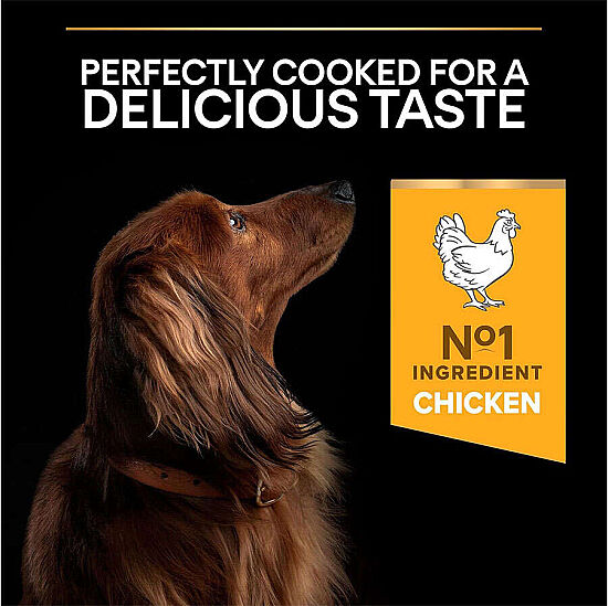 Pro Plan Tavuk Etli Küçük Irk Köpek Maması 3 Kg x 2 Adet - 9