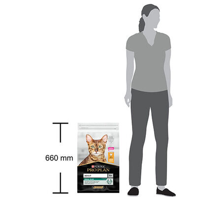 Pro Plan Tavuk Etli Yetişkin Kedi Maması 3 Kg 