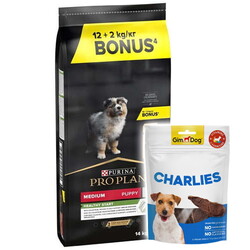 Pro Plan - Pro Plan Tavuklu Orta Irk Yavru Köpek Maması 12 Kg + 2 Kg + Gimdog 70 Gr Köpek Ödülü