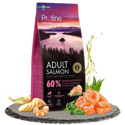 Profine Adult Somonlu Köpek Maması 12 Kg + 2 Adet Profine Köpek Ödülü - 2