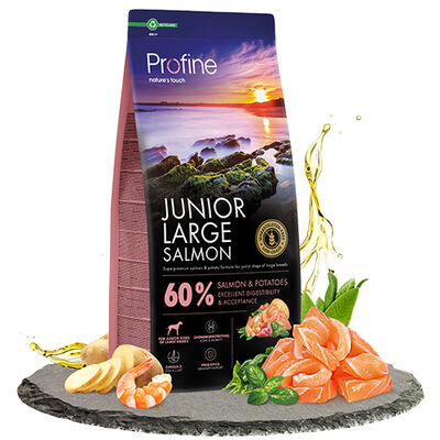 Profine Junior Large Somonlu Yavru Köpek Maması 12 Kg + 2 Adet Profine Köpek Ödülü - 2