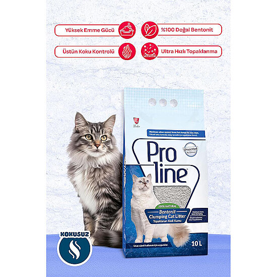 Proline Doğal Unscented Topaklanan Kokusuz Kedi Kumu 10 Lt x 2 Adet - 3