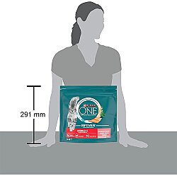Purina One SterilCat Somonlu Kısırlaştırılmış Kedi Maması 1,4 Kg - 6