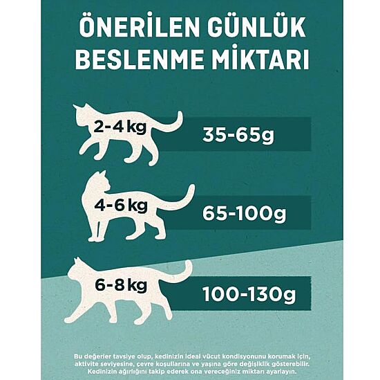 Purina One Tavuklu Yetişkin Kedi Maması 1,4 Kg - 4
