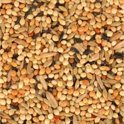 Quik Junior Yavru Muhabbet Yemi 400 Gr - 4