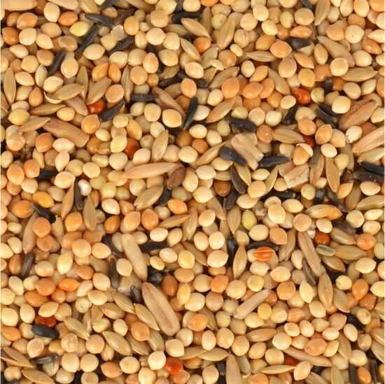 Quik Junior Yavru Muhabbet Yemi 400 Gr - 4