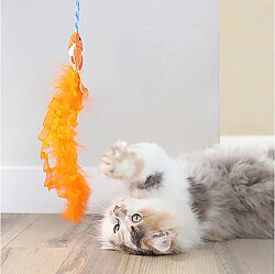 Quirky Kitty Cute Koi Wand Kedi Otlu Hışırtılı ve Tüylü Kedi Oltası - 3