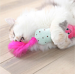Quirky Kitty Ice Cream Kicker Matatabili Hışırtılı Kedi Oyuncağı - 3
