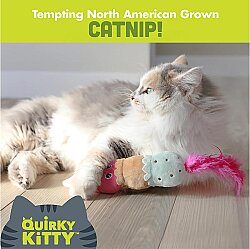 Quirky Kitty Ice Cream Kicker Matatabili Hışırtılı Kedi Oyuncağı - 5
