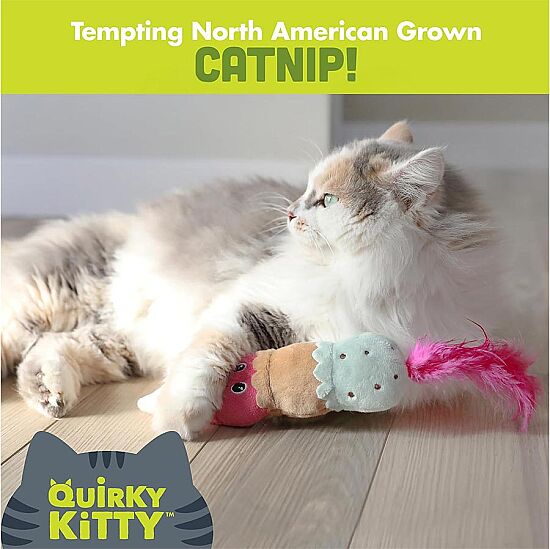 Quirky Kitty Ice Cream Kicker Matatabili Hışırtılı Kedi Oyuncağı - 5