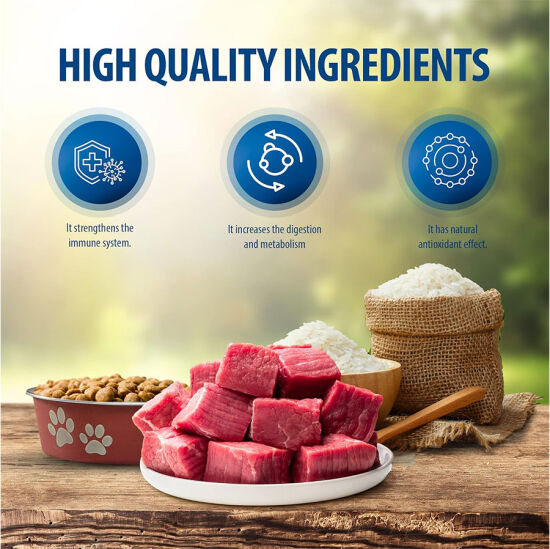 Reflex Plus Senior Orta ve Büyük Irk Kuzu Yaşlı Köpek Maması 3 Kg - 2