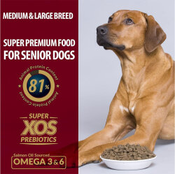 Reflex Plus Senior Orta ve Büyük Irk Kuzu Yaşlı Köpek Maması 3 Kg - 3