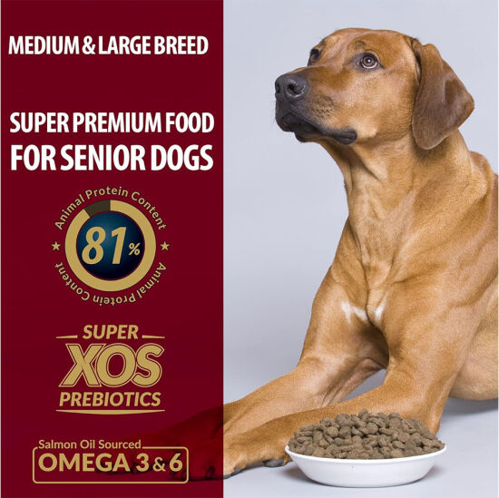 Reflex Plus Senior Orta ve Büyük Irk Kuzu Yaşlı Köpek Maması 3 Kg - 3