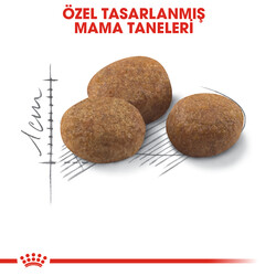 Royal Canin Sterilised +7 Kısırlaştırılmış Yaşlı Kedi Maması 3,5 Kg + Wanpy Creamy Treat 5x14 Gr - Thumbnail