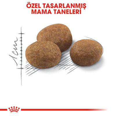 Royal Canin Sterilised +7 Kısırlaştırılmış Yaşlı Kedi Maması 3,5 Kg + Wanpy Creamy Treat 5x14 Gr