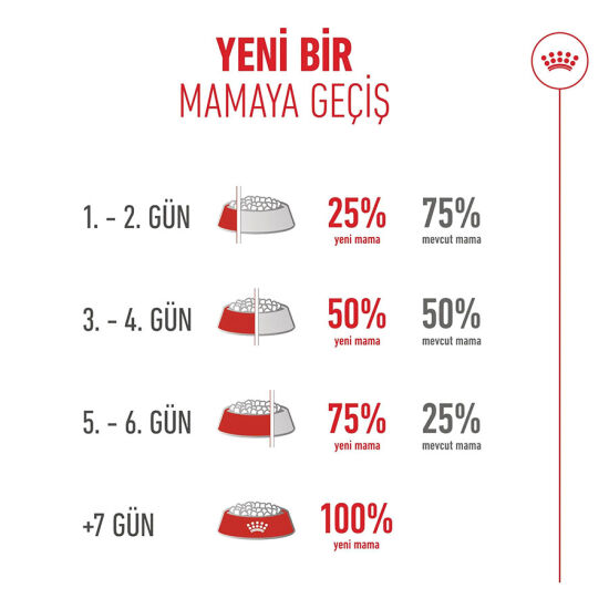 Royal Canin Healthy Ageing 11+ Yaşlı Kedi Kuru Maması 2 Kg x 2 Adet + Temizlik Mendili - 9