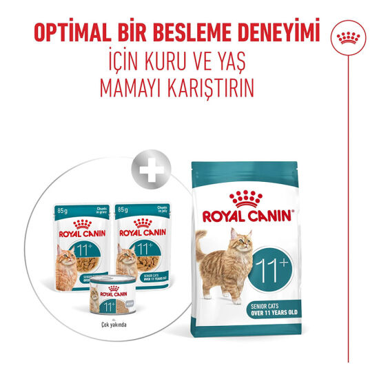 Royal Canin Healthy Ageing 11+ Yaşlı Kedi Kuru Maması 2 Kg x 2 Adet + Temizlik Mendili - 6