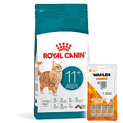 Royal Canin Healthy Ageing 11+ Yaşlı Kedi Kuru Maması 2 Kg + 1 Paket Wahlen Multivitamin 4x15 Gr - Royal Canin
