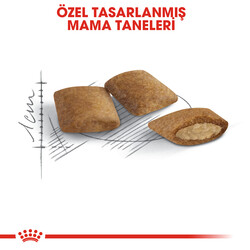 Royal Canin Ageing +12 Yaşlı Kedi Maması 2 Kg - Thumbnail