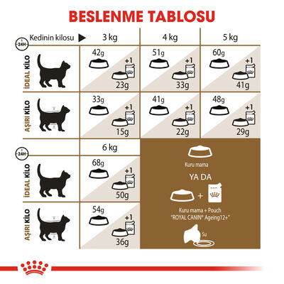 Royal Canin Ageing +12 Yaşlı Kedi Maması 2 Kg + Temizlik Mendili