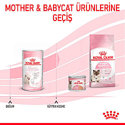Royal Canin Babycat Milk Yavru Süt Tozu Kiti 3 x 100 Gr (300 Gr) - 3