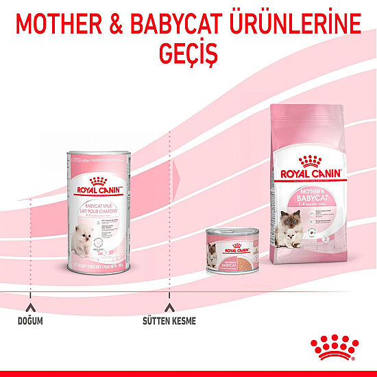 Royal Canin Babycat Milk Yavru Süt Tozu Kiti 3 x 100 Gr (300 Gr) - 3