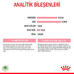 Royal Canin Babycat Milk Yavru Süt Tozu Kiti 3 x 100 Gr (300 Gr) - 4