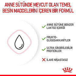 Royal Canin Babycat Milk Yavru Süt Tozu Kiti 3 x 100 Gr (300 Gr) - 5