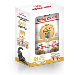 Royal Canin - Royal Canin BOX British Shorthair Kedi Maması 2 Kg + 2 Adet Royal Canin Yaş Mama
