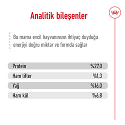 Royal Canin BOX Mini Adult Küçük Irk Köpek Maması 2 Kg + 2 Adet Royal Canin Yaş Mama - 12