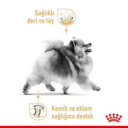 Royal Canin BOX Pomeranian Köpek Irk Maması 1,5 Kg + 2 Adet Royal Canin Pomeranian 85 Gr Yaş Mama - 6