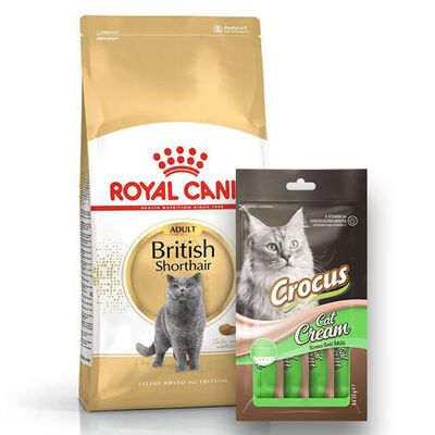 Royal Canin British Shorthair Irk Kedi Maması 2 Kg + Crocus Cream Ödül 4x15 Gr