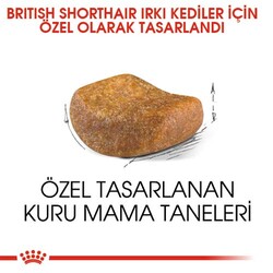 Royal Canin British Shorthair Irkına Özel Kedi Maması 2 Kg + Temizlik Mendili - Thumbnail