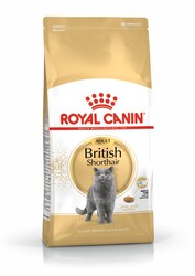 Royal Canin British Shorthair Irkına Özel Kedi Maması 2 Kg + Temizlik Mendili - Thumbnail