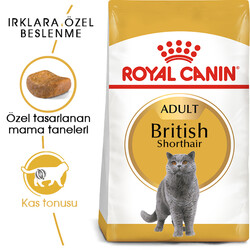 Royal Canin - Royal Canin British Shorthair Irkına Özel Kedi Maması 2 Kg + Temizlik Mendili