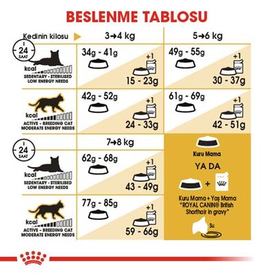Royal Canin British Shorthair Irk Kedi Maması 4 Kg + Wanpy Creamy Treat 5x14 Gr