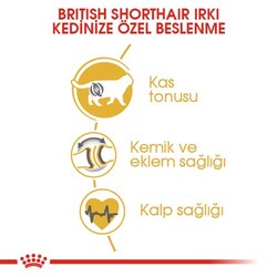 Royal Canin British Shorthair Irkına Özel Kedi Maması 4 Kg + 2 Adet Temizlik Mendili - Thumbnail