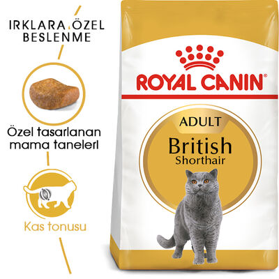 Royal Canin British Shorthair Irkına Özel Kedi Maması 4 Kg + 2 Adet Temizlik Mendili