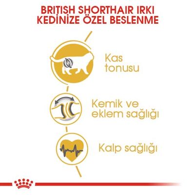 Royal Canin British Shorthair Irk Kedi Maması 4 Kg x 2 Adet + Temizlik Mendili - 3