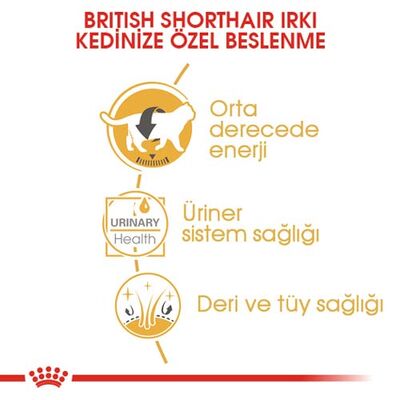 Royal Canin Pouch British Shorthair Irkına Özel Yaş Kedi Maması 85 Gr - BOX - x 12 Adet - 3