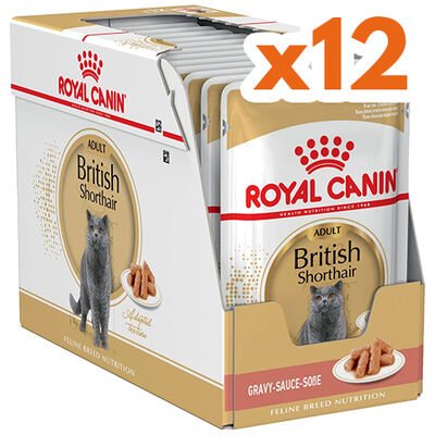 Royal Canin Pouch British Shorthair Irkına Özel Yaş Kedi Maması 85 Gr - BOX - x 12 Adet - 1