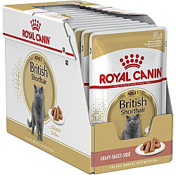 Royal Canin BOX Pouch British Shorthair Irkına Özel Yaş Kedi Maması 85 Gr x 12 Adet - Royal Canin
