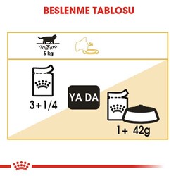 Royal Canin Pouch British Shorthair Irkına Özel Yaş Kedi Maması 85 Gr - BOX - 12 Al 10 Öde - Thumbnail