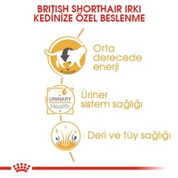 Royal Canin Pouch British Shorthair Irkına Özel Yaş Kedi Maması 85 Gr - BOX - 12 Al 10 Öde - Thumbnail