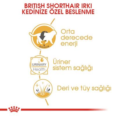 Royal Canin Pouch British Shorthair Irkına Özel Yaş Kedi Maması 85 Gr - BOX - 12 Al 10 Öde