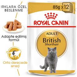 Royal Canin Pouch British Shorthair Irkına Özel Yaş Kedi Maması 85 Gr - BOX - 12 Al 10 Öde - Thumbnail