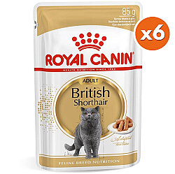 Royal Canin Pouch British Shorthair Irkına Özel Yaş Kedi Maması 85 Gr x 6 Adet - Royal Canin
