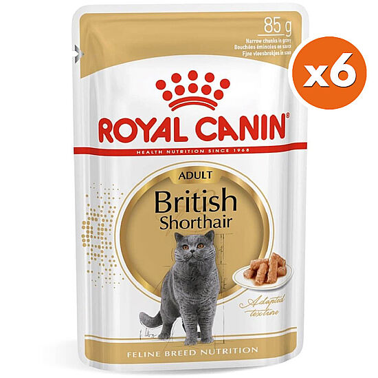 Royal Canin Pouch British Shorthair Irkına Özel Yaş Kedi Maması 85 Gr x 6 Adet - 1