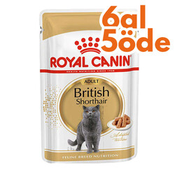 Royal Canin - Royal Canin Pouch British Shorthair Irkına Özel Yaş Kedi Maması 85 Gr - 6 Al 5 Öde